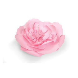 Fustella Sizzix Framelits Large Peony