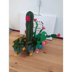 Fustella XL Cactus e piante grasse