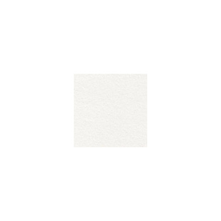 Fommy soft Renkalik foglio 60x40 cm spessore 1mm colore selezionabile