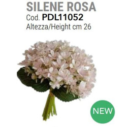 Silene colore rosa alt. 26 cm