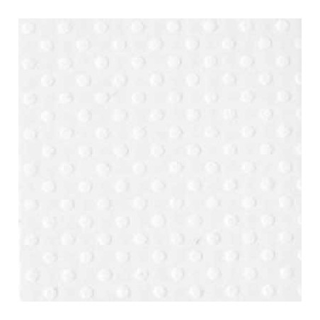 Carta Bazzill Dot Swiss vari colori - Set 5 fogli - Salt