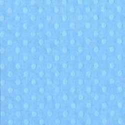 Carta Bazzill Dot Swiss vari colori - Set 5 fogli - Poolside