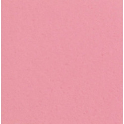 Fommy Darice 2 mm 10 fogli colore Rosa formato A3